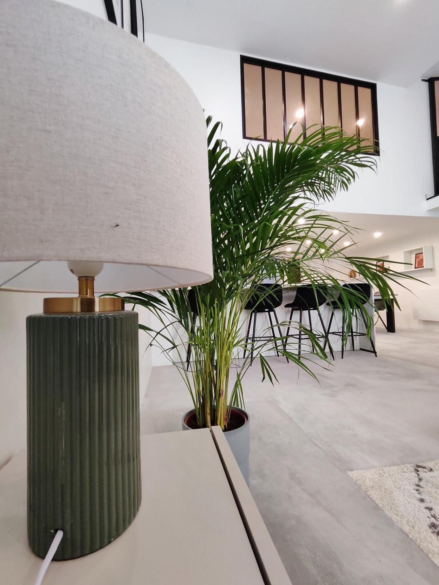 Beautiful Apartments & Loft In Beziers Center Buitenkant foto
